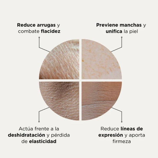 Skin  molecule X Collagen viales
